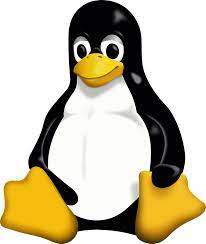 Linux 